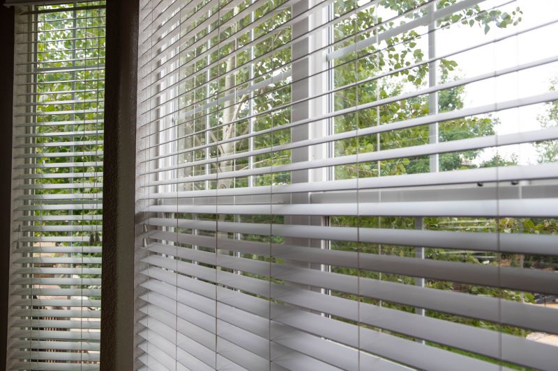 Blinds Replacement Service in Longmont, CO