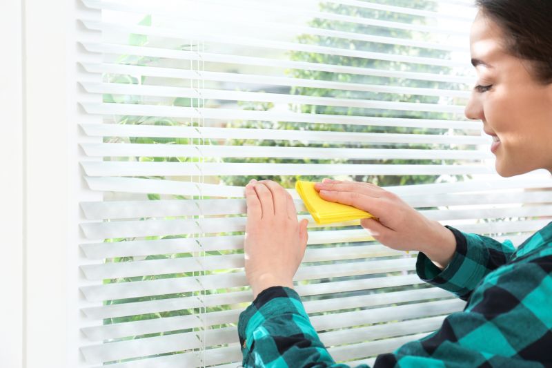 Roman Shade Cleaning in Madison, WI